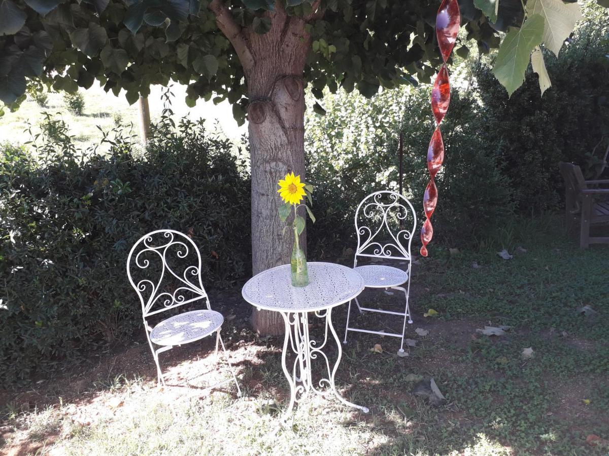 B&B La Riundela Asti Bagian luar foto